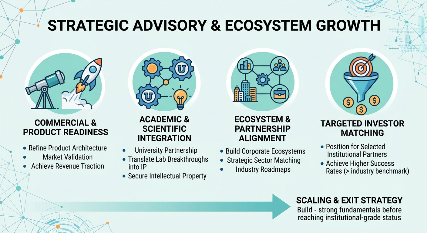 Strategic Advisory Beyond Traditional Venture Capital for Scale-Ups and Research Spin-Outs Mauritania